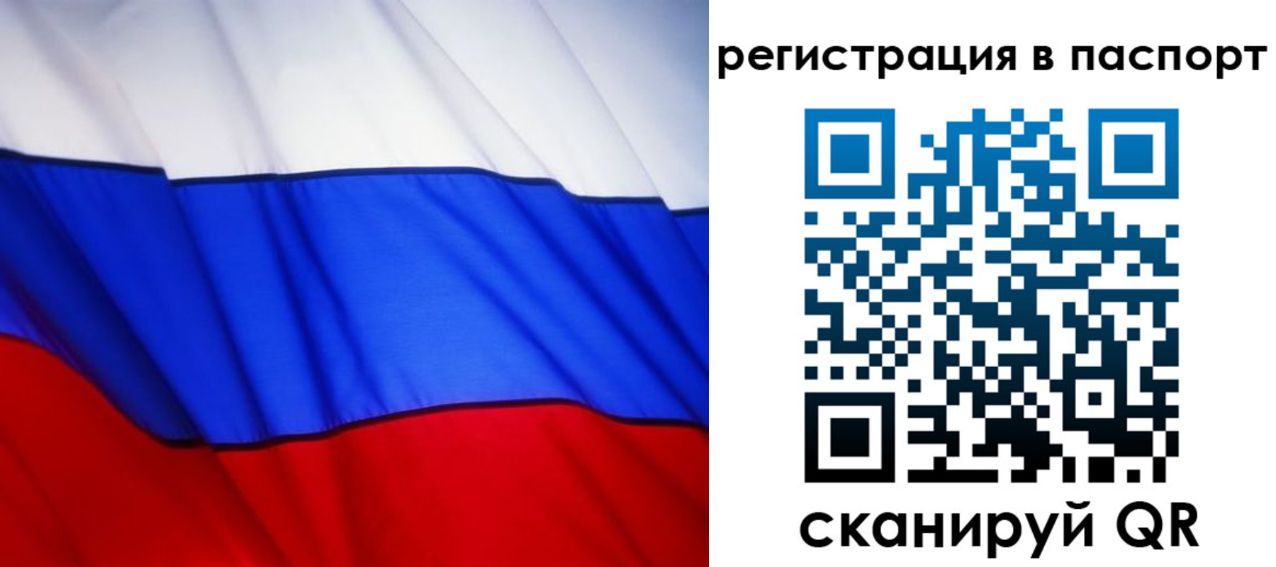 прописка 2025 в Юрьев-Польском
